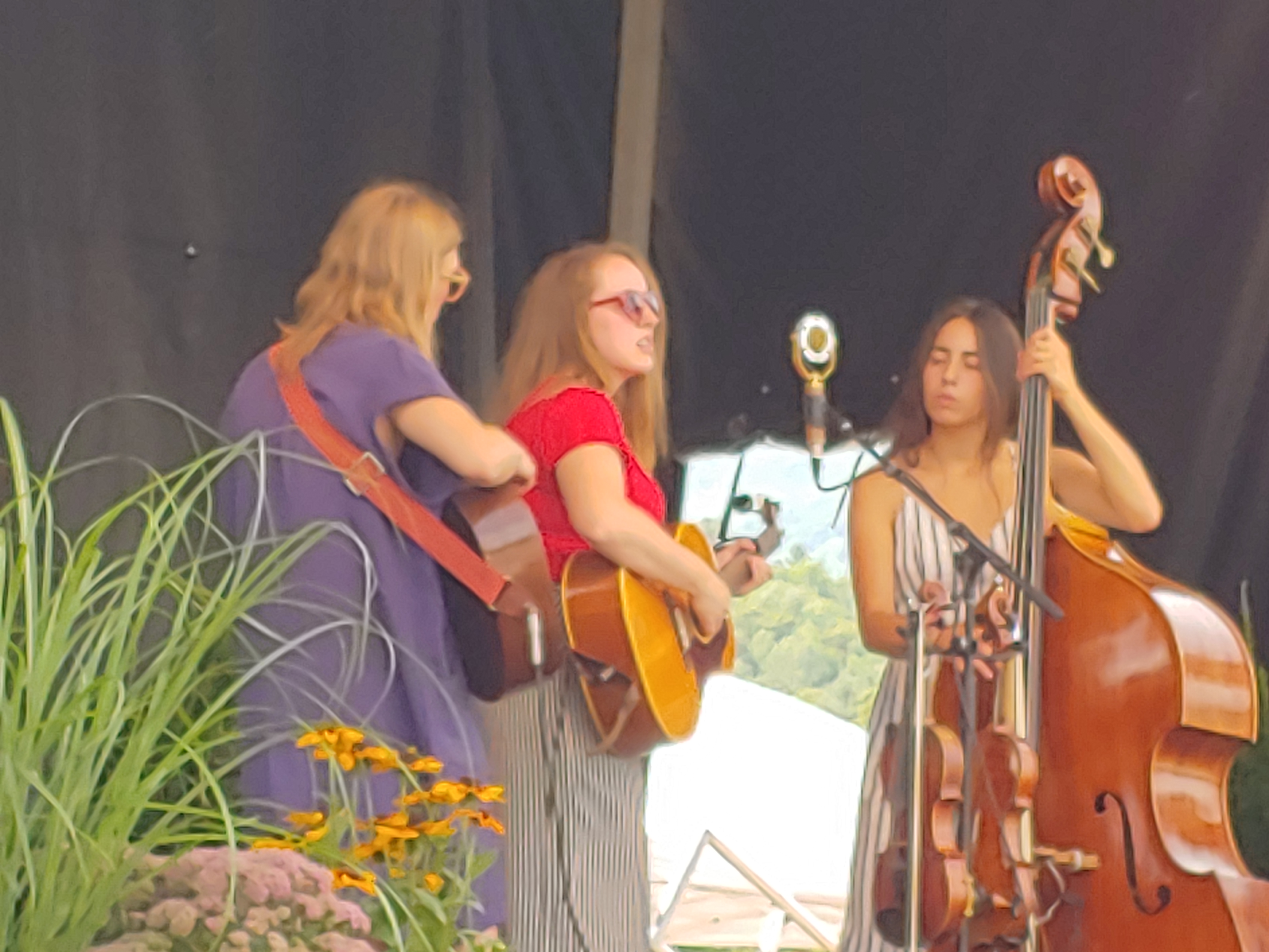 LulaWiles2018-08-19GreenMountainBluegrassAndRootsFestivalManchesterVT (1).jpg